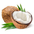 Coconut: