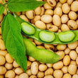 Soy Amino Acids :