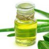 Aloe Vera Extract :
