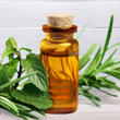 Tea Tree :