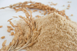 Rice Bran Extract