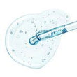 Hyaluronic Acid: