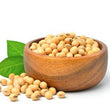 Soyabean Extract: