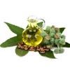 Castor Oil::