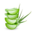 Aloe Vera :