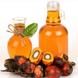Palm Extract: