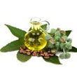 Castor Oil: