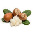 Shea Butter :