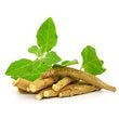 Ashwagandha: