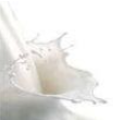 Milk: