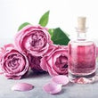 Rose Water: