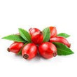 Rosehip: