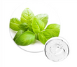 RootBioTec™ :