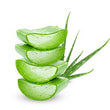 Aloe Vera :