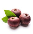Kokum Butter: