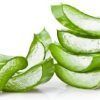 Aloe Vera :