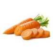 Carrot Seed Oil :