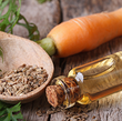 Carrot Seed Oil :