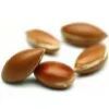 Agaan Oil :