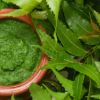 Neem :