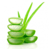 Aloe Vera :