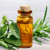 Tea Tree Oil :