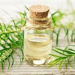 Tea Tree :