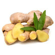 Ginger::