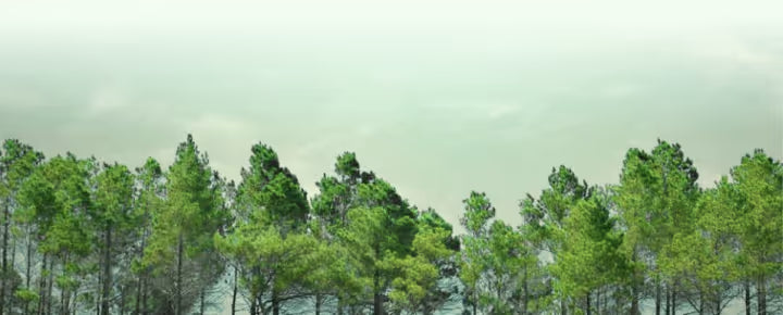 Join us green background