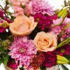 Tropical Flowers :