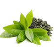 Green Tea: