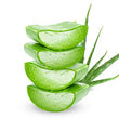 Aloe Vera:
