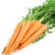 Carrot Root :