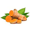 Turmeric :