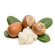 Shea Butter :