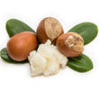 Shea Butter: