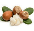 Shea Butter: