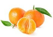 Tangerine :