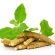 Ashwagandha :