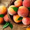 Peach :