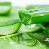 Aloe Vera :