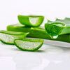 Aloe Vera: