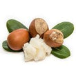 Shea Butter :