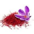 Saffron:
