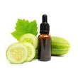 Cucumber: