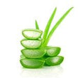 Aloe Vera –